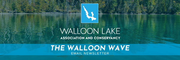 Walloon Lake
