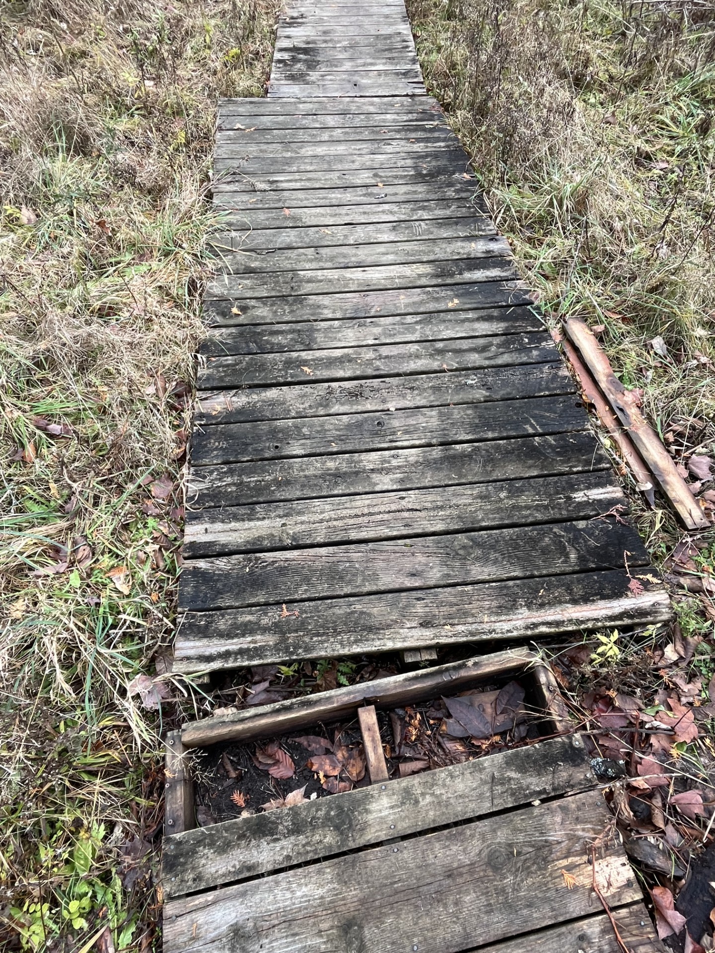 Fields Preserve focus area