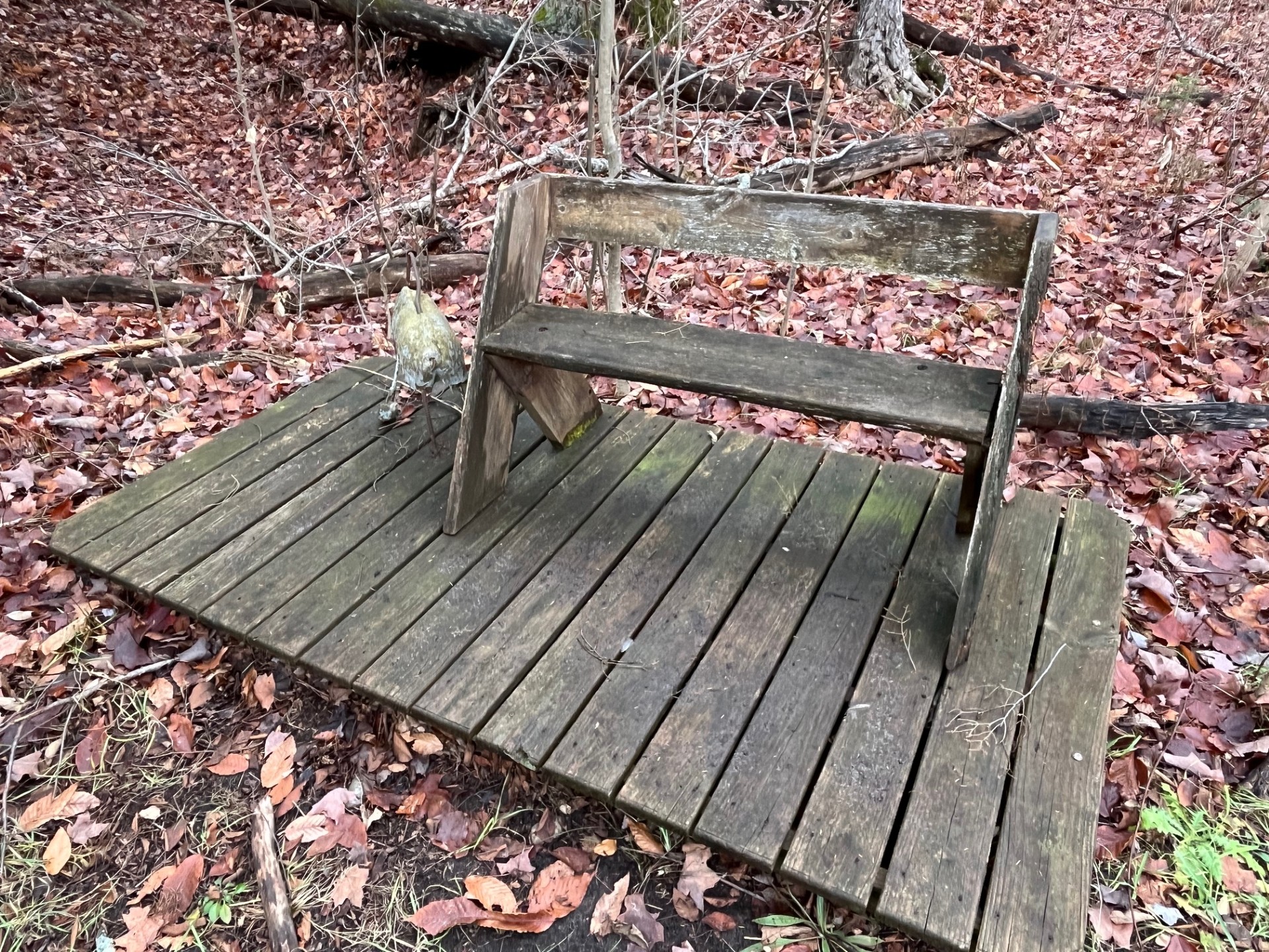 Fields Preserve focus area