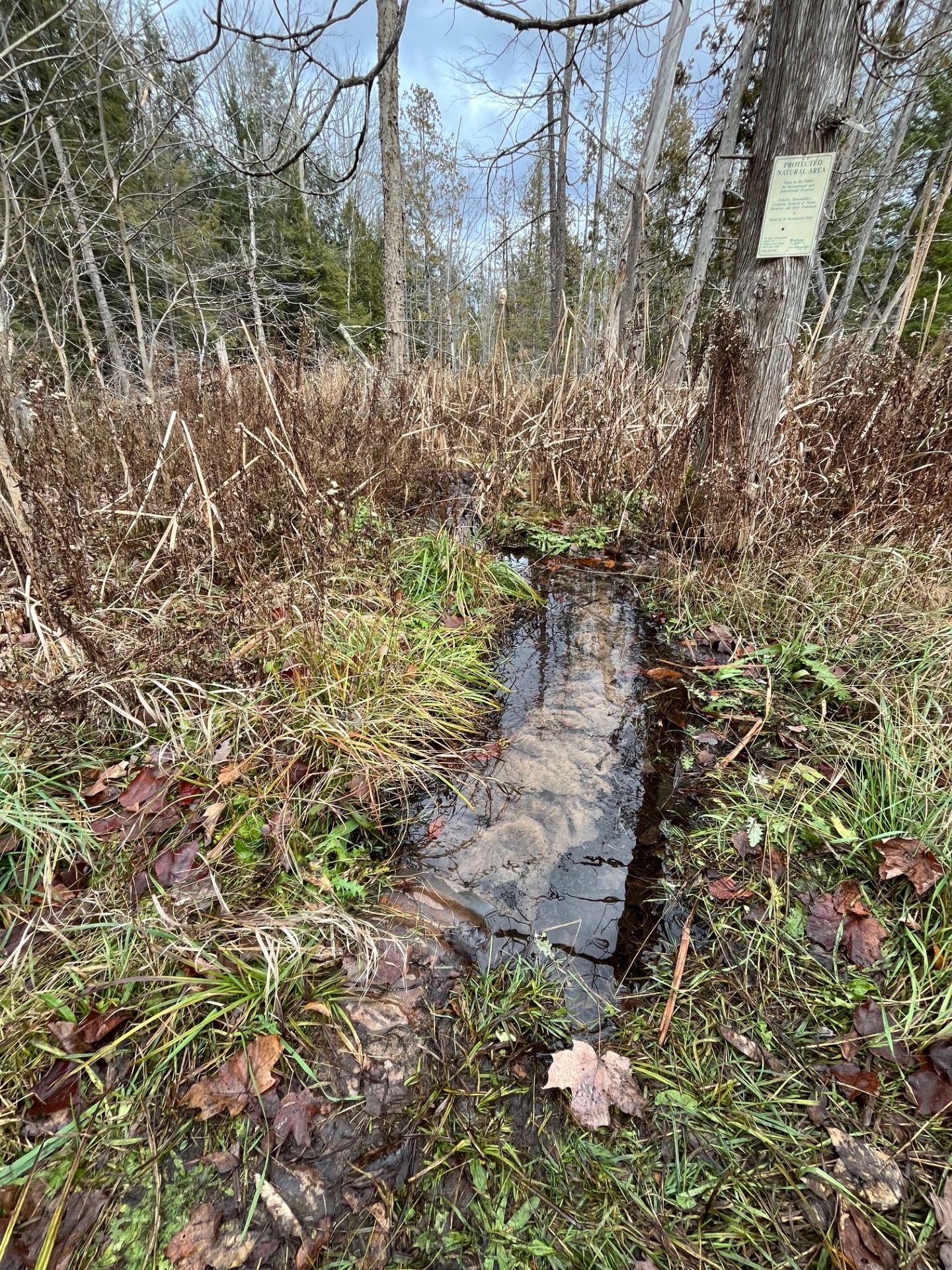 Fields Preserve focus area