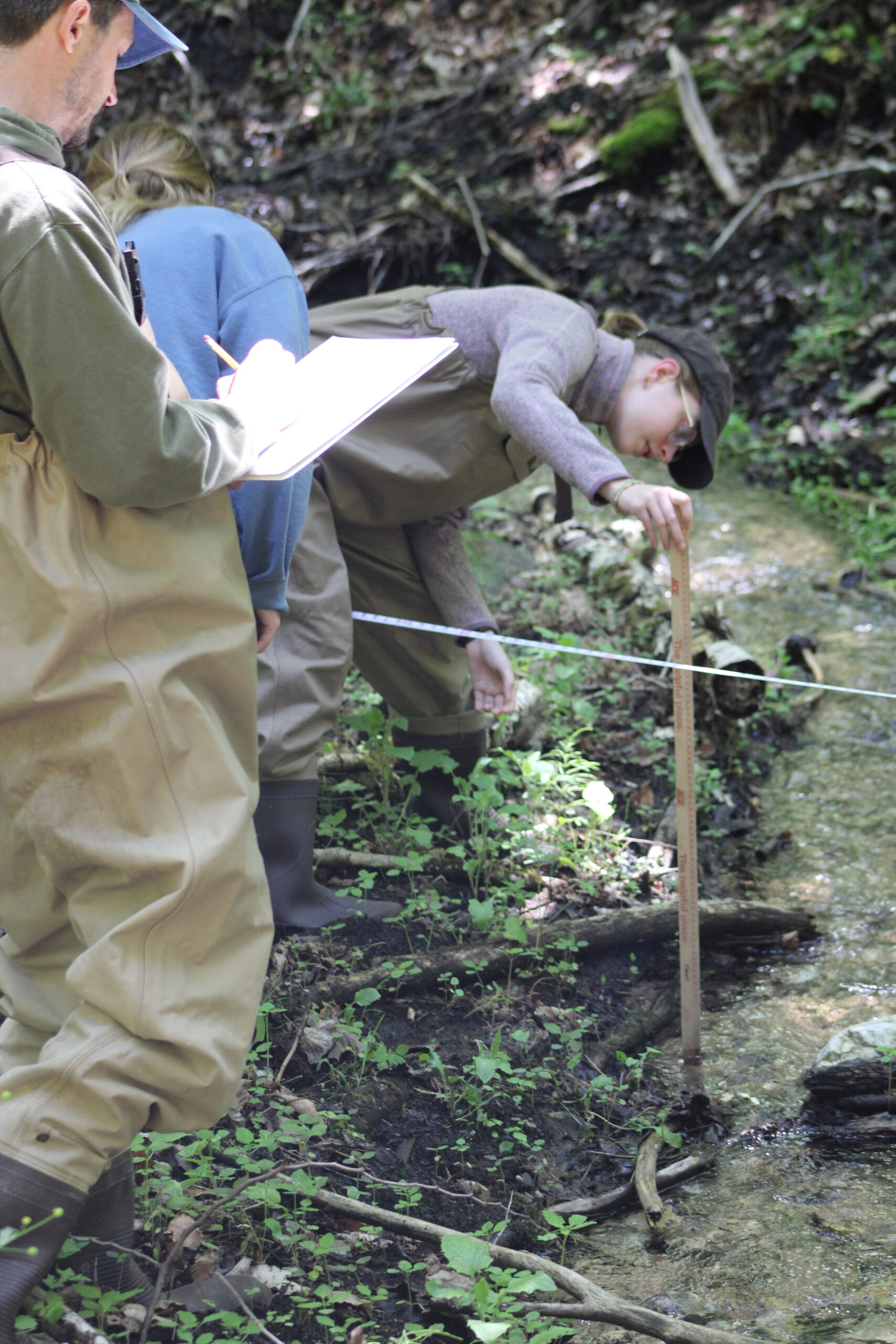 Volunteer Stream Monitoring: Fineout Creek