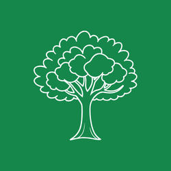 Wander Walloon: Tree Identification Snowshoe Hike