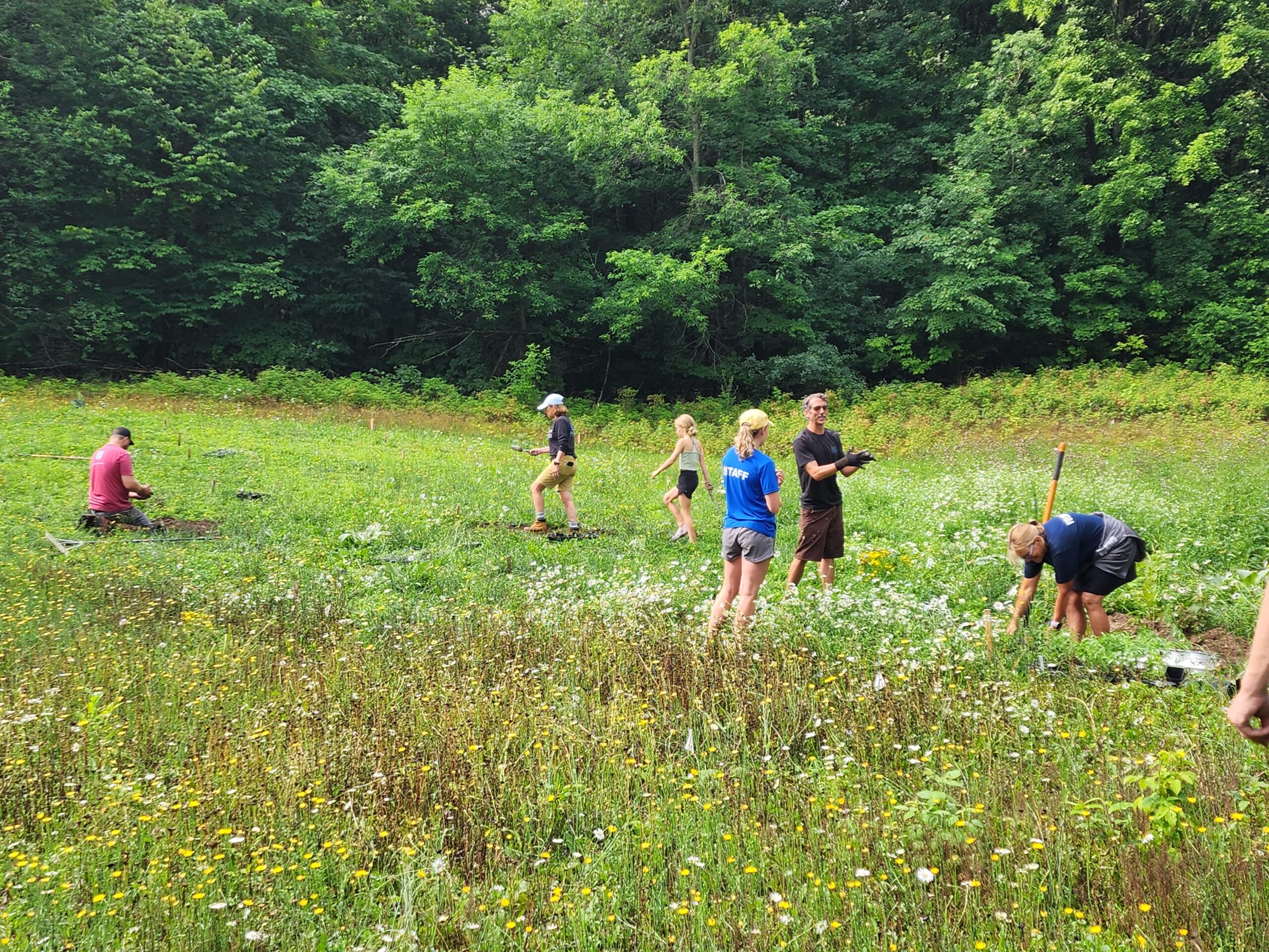 Pollinator Garden Planting Workshop
