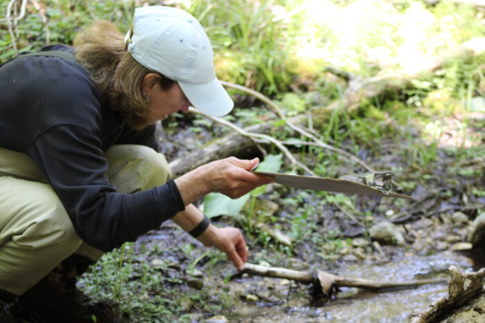 Volunteer Stream Monitoring: Schoof's Creek