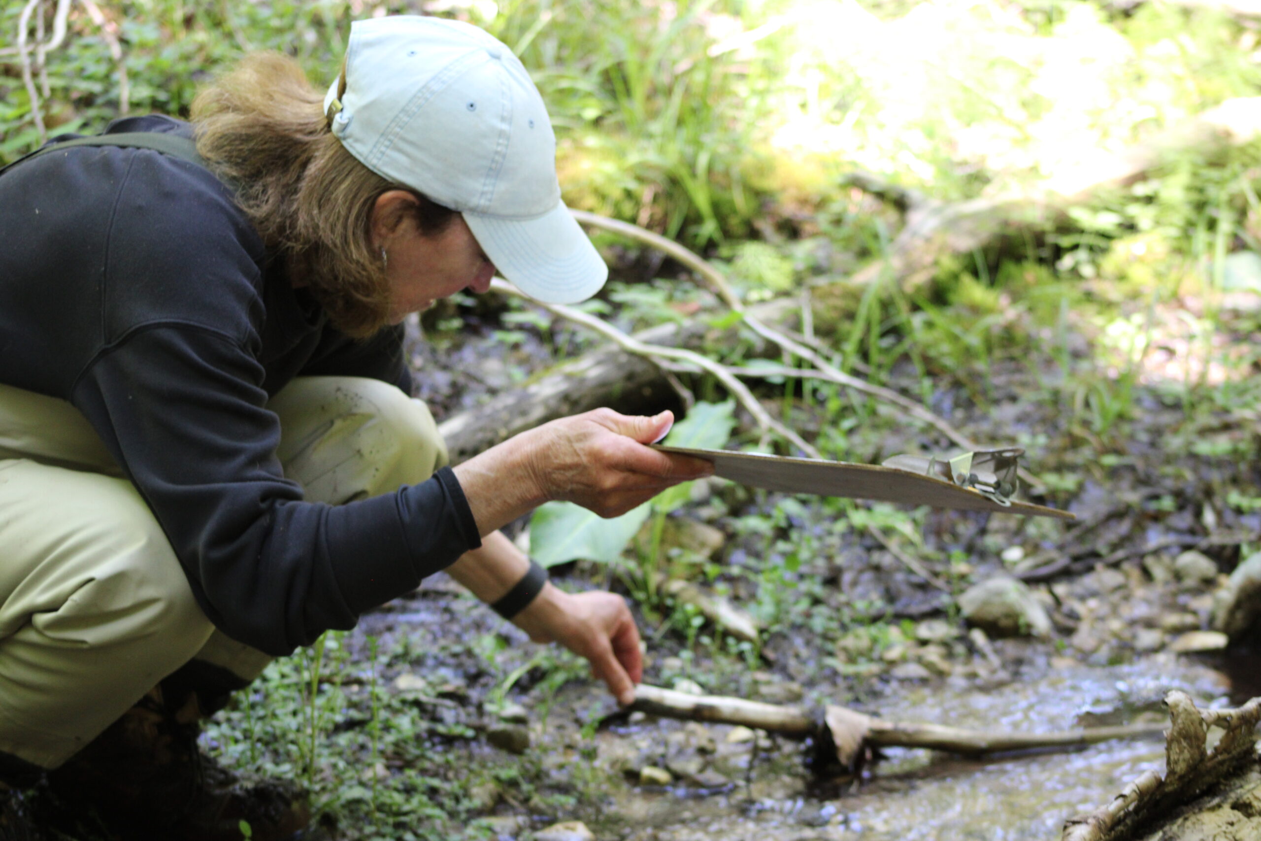 Volunteer Stream Monitoring: Schoof's Creek