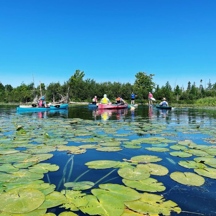 Wander Walloon: Mill Pond Summer Solstice Paddle